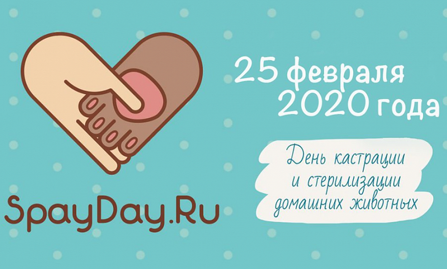 Day 2022. Спай дей. Всемирный день стерилизации животных 2020. World Spay Day. Международный день кастрации животных.