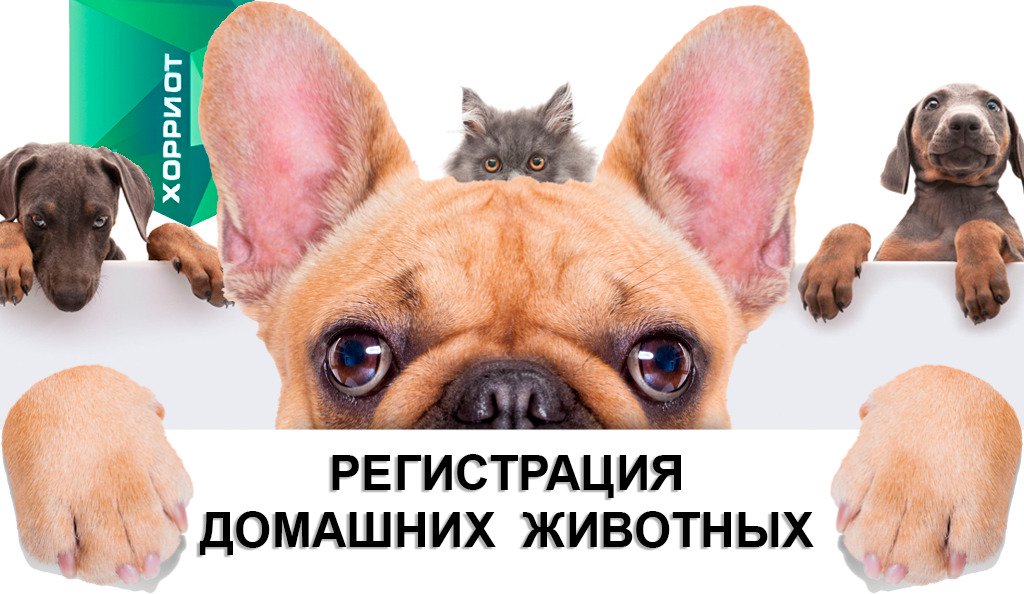 Хорриот pngegg-16-6-1024x594.jpg