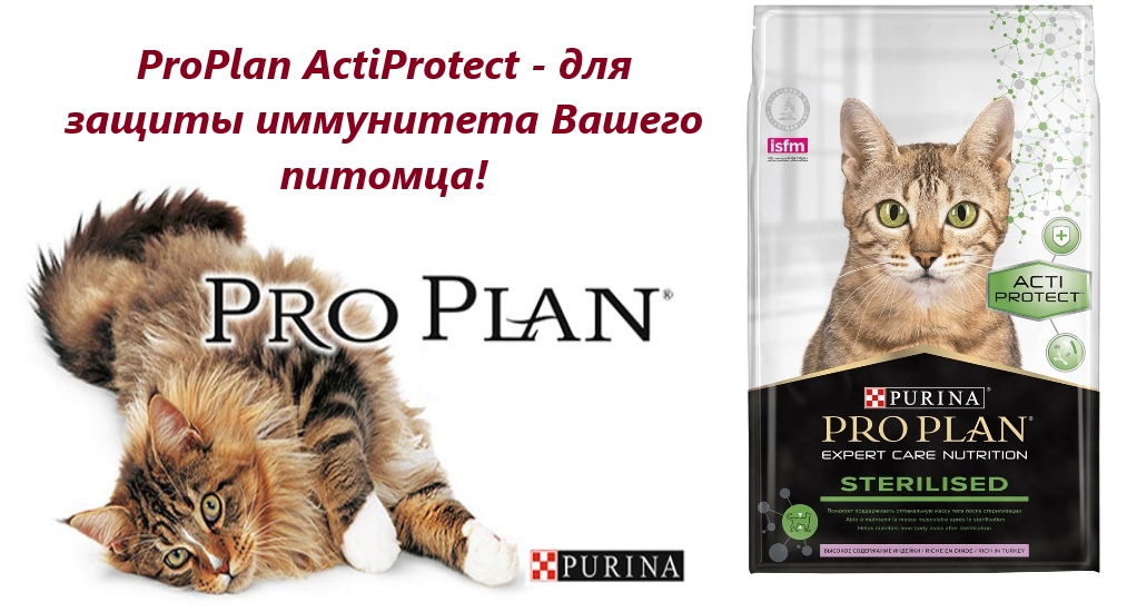 proplan.jpg