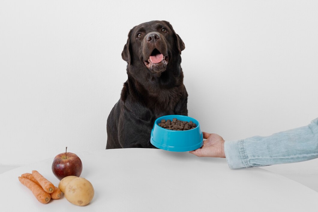 dog_food_bowl.jpg