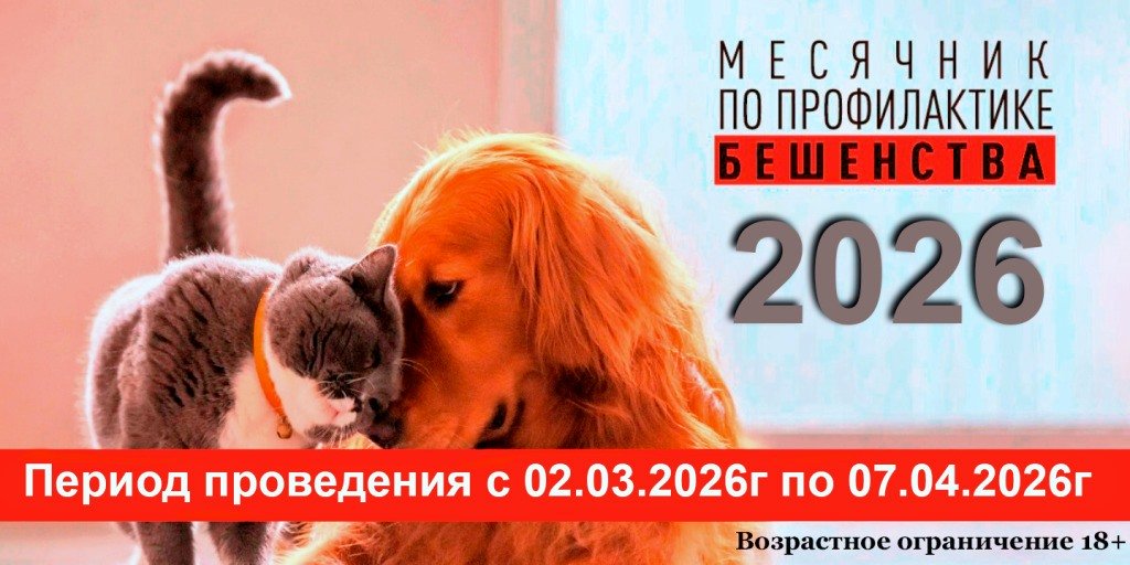 Месячник-2026 Карус.jpg