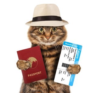 cat_passport0.jpg