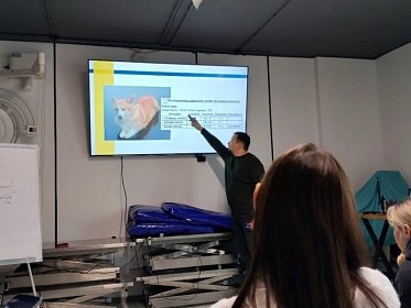 Подготовка специалистов для лечения пациентов с заболеваниями эндокринной системы.