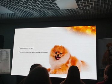 Поездка на XXXIV  Московский международный ветеринарный конгресс 2026