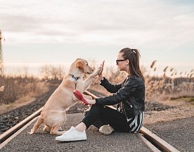 Как подружить ребенка с собакой