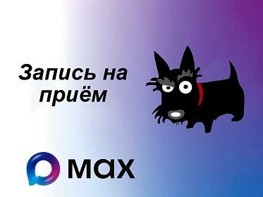 ОНЛАЙН запись на приём в национальном мессенджере МАКС