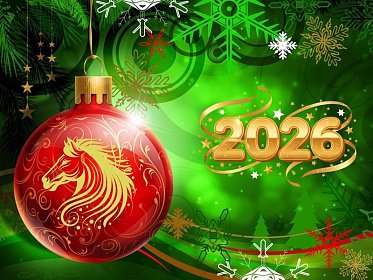 Режим работы в новогодние праздники 2026 года