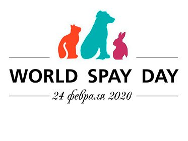 Беспрецедентная акция в World Spay Day 2026г.  скидки и бесплатная кастрация мелких домашних животных!