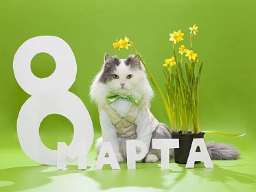 Поздравляем с Международным женским днём! График работы.