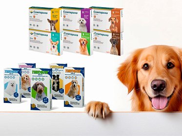 Надёжная защита для Вашей собаки: Симпарика и Тиксфли уже в наличии!