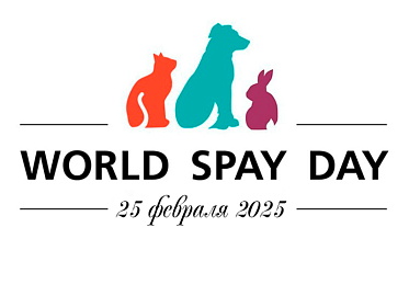 Беспрецедентная акция в  World Spay Day 2025г.  скидки и бесплатная кастрация мелких домашних животных!