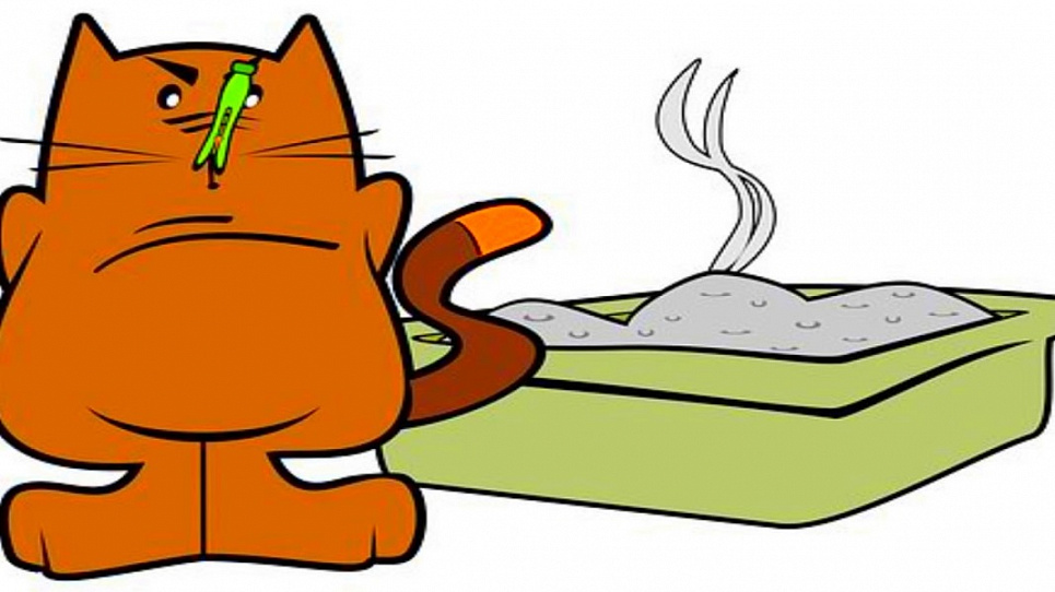 Кошки не любят пить воду из миски рядом со своим кормом, потому что боятся, что вода заражена