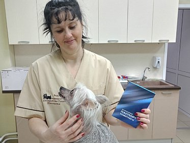 Регистрация домашних животных