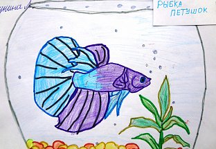 "Рыбка Петушок"